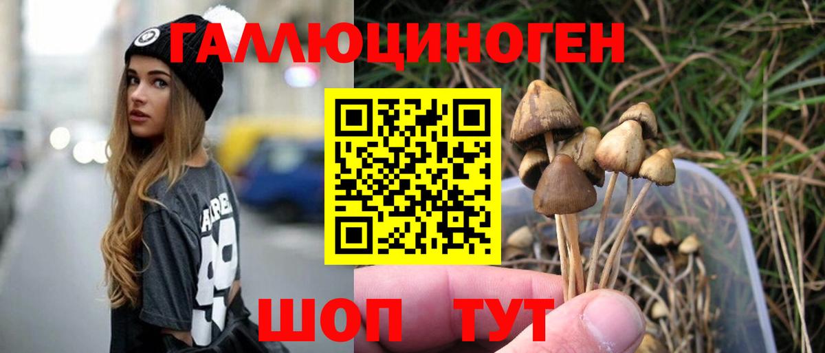 Псилоцибиновые грибы Psilocybe Кумертау